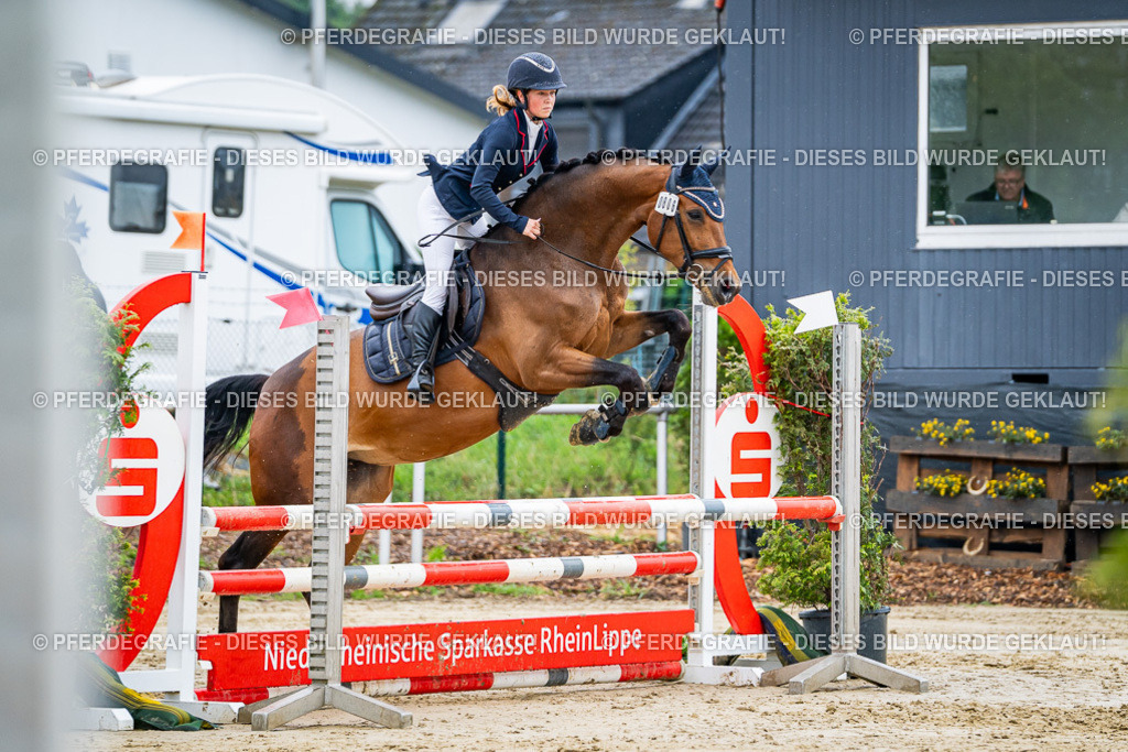 DSC02647 | Pferdegrafie