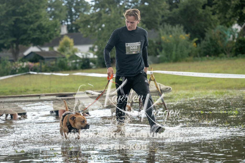 1400_ZZ90707 | kk-dogfotos