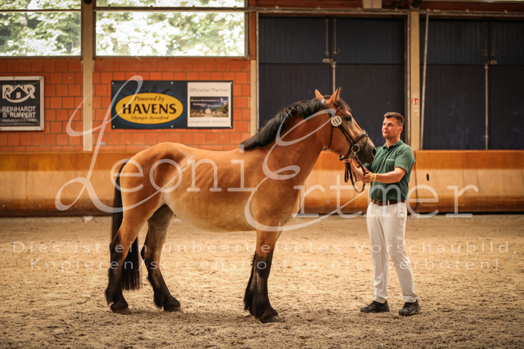 SaFL00285 | Leoni Ertmer Photography - Realisiert mit Pictrs.com