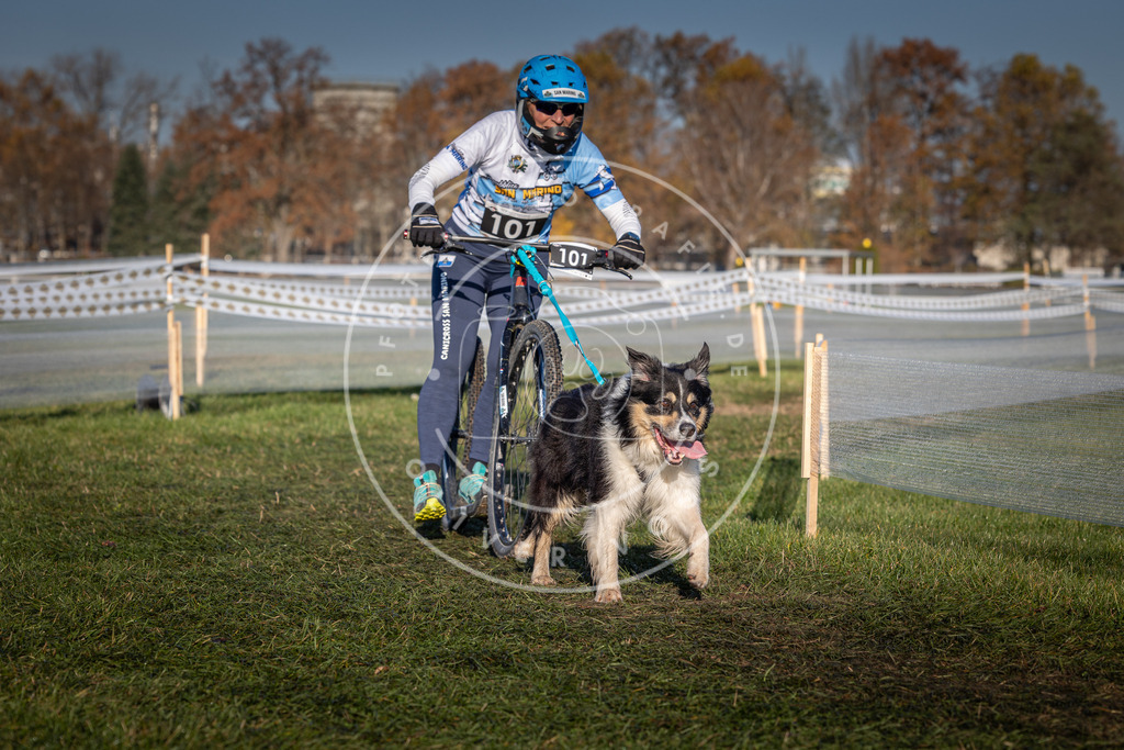 CaniXpix_0L8A4159 | Hundefotografie, Tierfotograf, Pfotenfotografie, Fotoshooting Hund, Hunde Portrait, Hundesport, Hundeportraits, Heideshooting, Hunde, Sportfotograf, Hundefotograf, Turnierhundsport, THS,  - Realisiert mit Pictrs.com