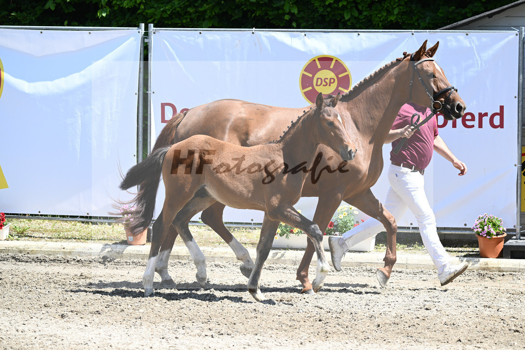 Kat-Nr. 35 HF Million Dollar_Mueller_12230891 | hf-fotografie - Realizzato con Pictrs.com