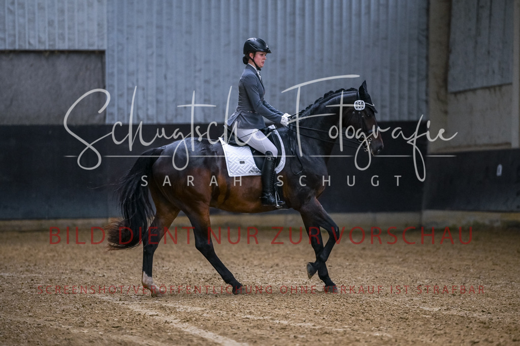 Schugtsche-Aluta25-56.Dressurprf.L1Kand.-17 | Schugtsche Fotografie - Realisiert mit Pictrs.com