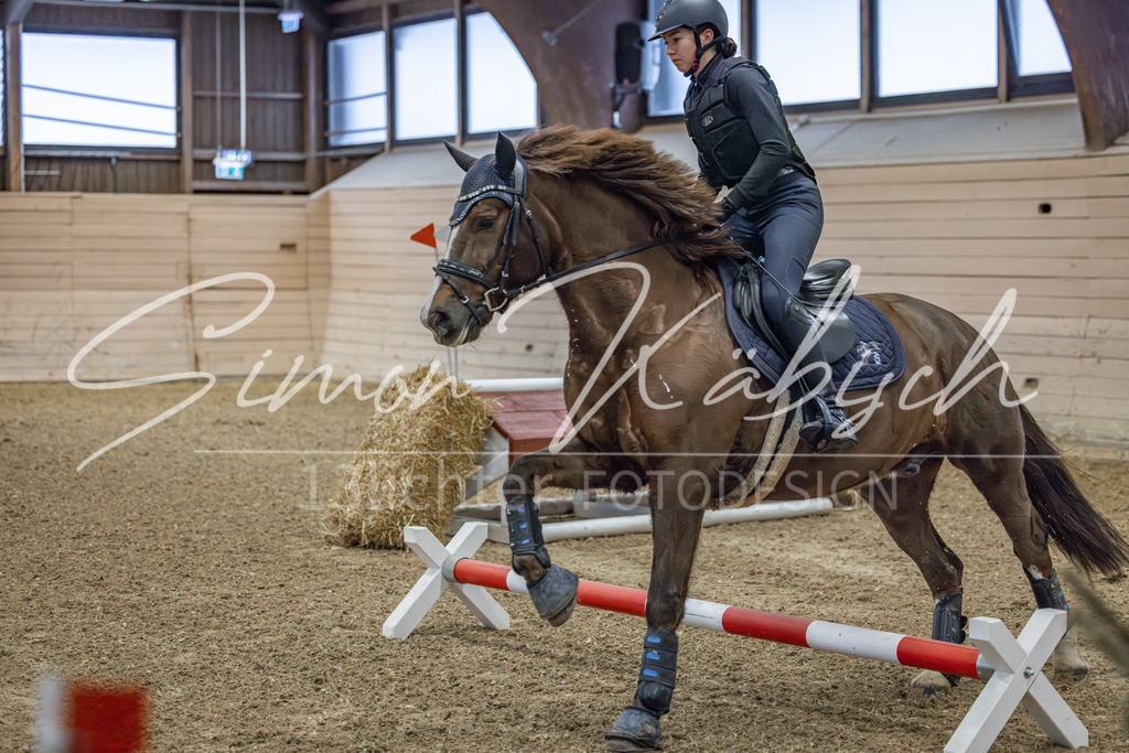 20260221-_3LI8291 | Tierfotografie Pferde, Hunde, Katzen, Haustiere.
Turnierfotografie Reitturniere, Reiten, Springreiten, Dressur in Hanau, dem Main-Kinzig-Kreis und dem Rhein-Main- Gebiet um Frankfurt