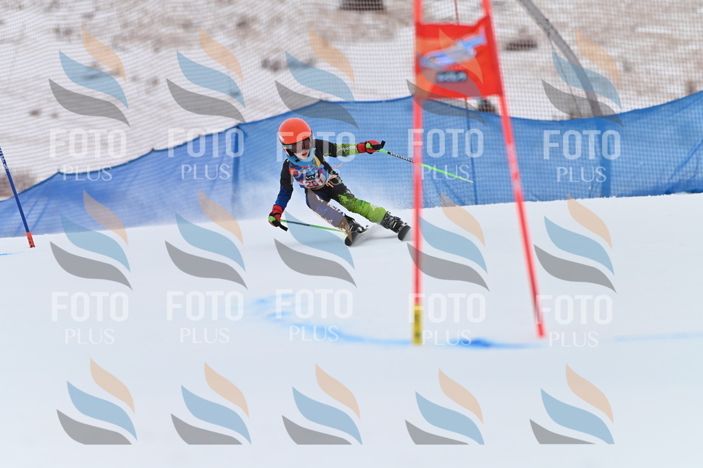 BGV_1929 | holidayphoto