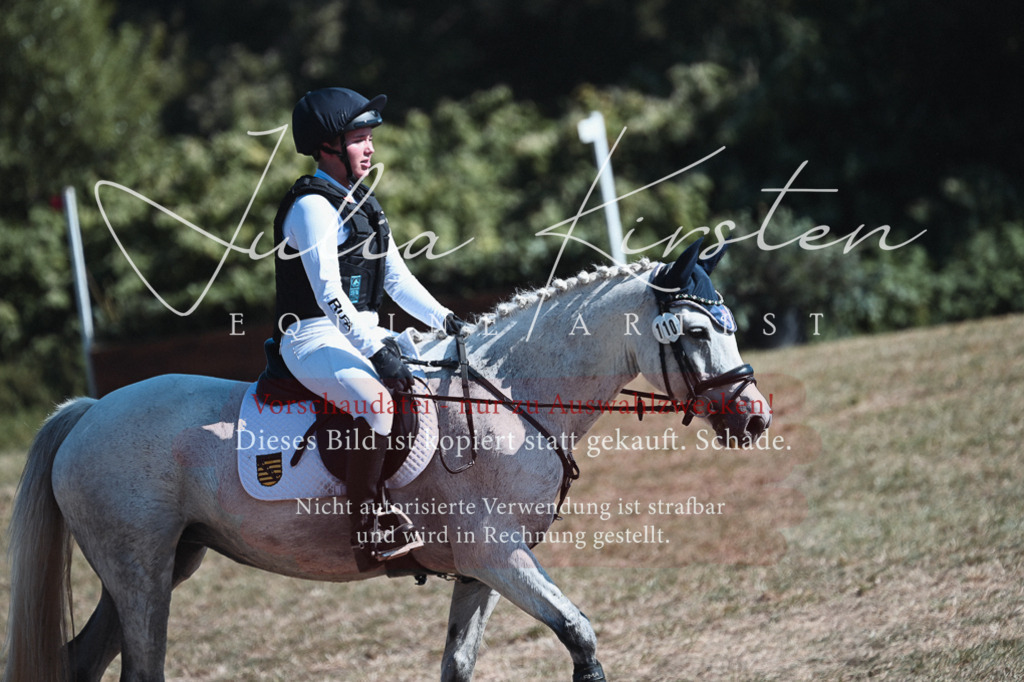 DSC_8547 | Pferde- und Turnierfotografie in Westsachsen. Pferdeportraits, Auftragszeichnungen und intuitive Kunst.