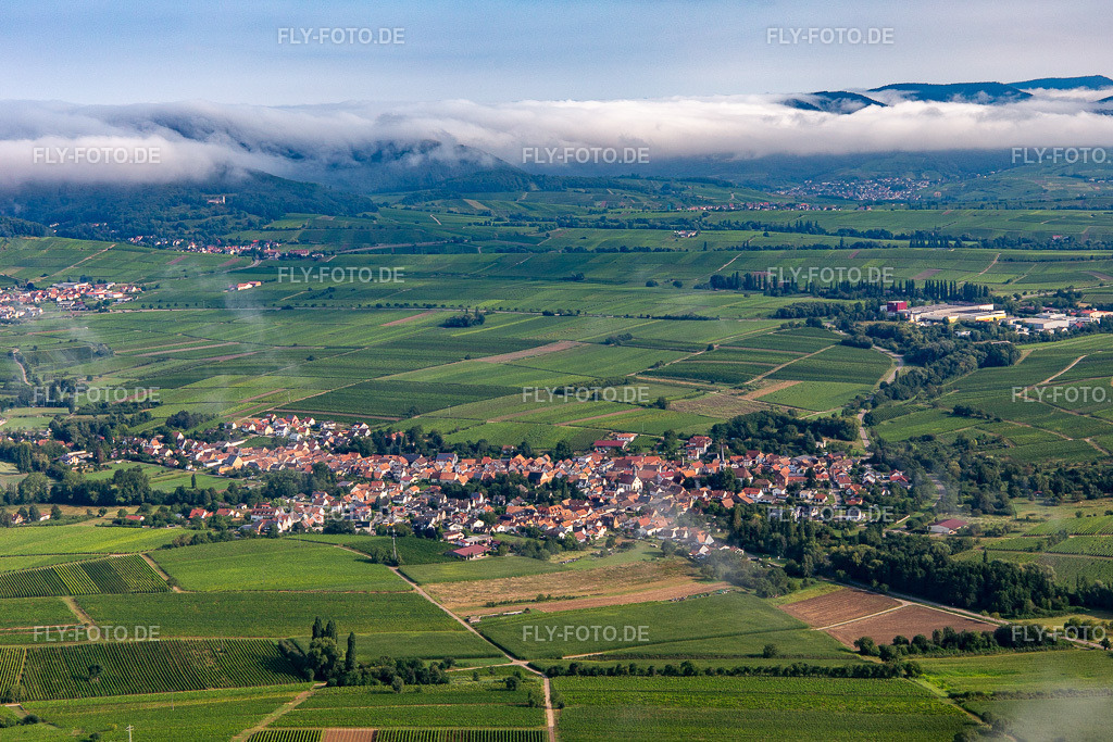 Ortschaft von Süden mit Wolken | Luftbild: Ortschaft von Süden mit Wolken in Göcklingen im Bundesland Rheinland-Pfalz in Deutschland. Foto: IMG_142921.jpg vom 03.08.2024 durch ©2025 Werner Riehm fly-foto.de/copyright - Realisiert mit Pictrs.com