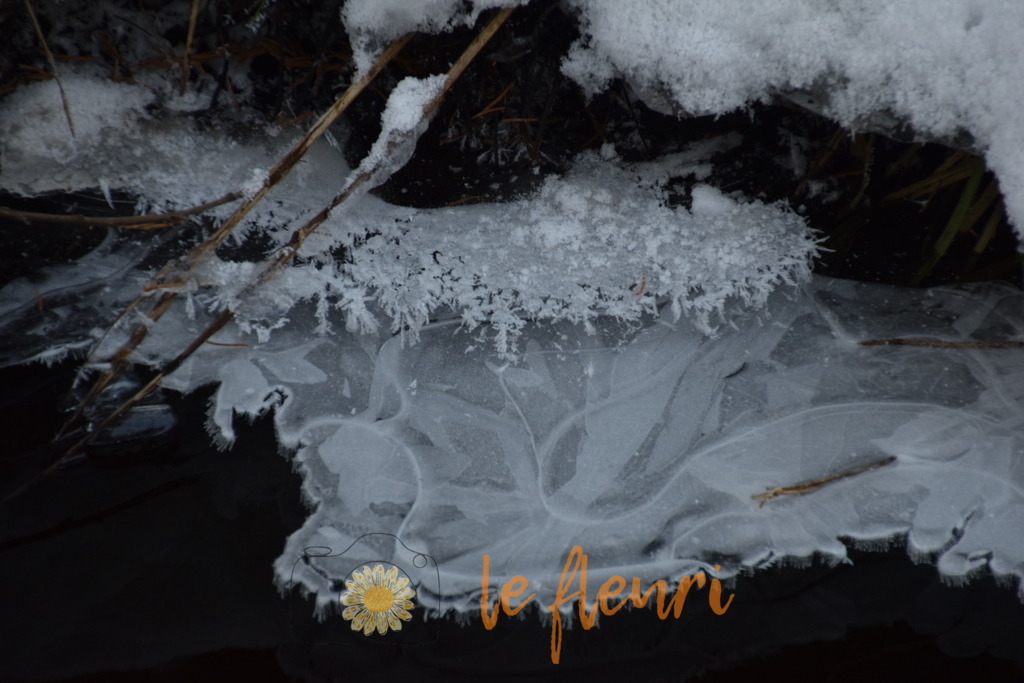 Eisblumen | Dies ist der Shop von Florian Blum - le fleuri. Langenthal, Bern, Schweiz. Sie können hier meine oder ihre eigenen Fotos als Fotoprodukte kaufen. Tassen, Schlüsselanhänger, Taschen etc. können Sie hier gestalten.  - Realisiert mit Pictrs.com