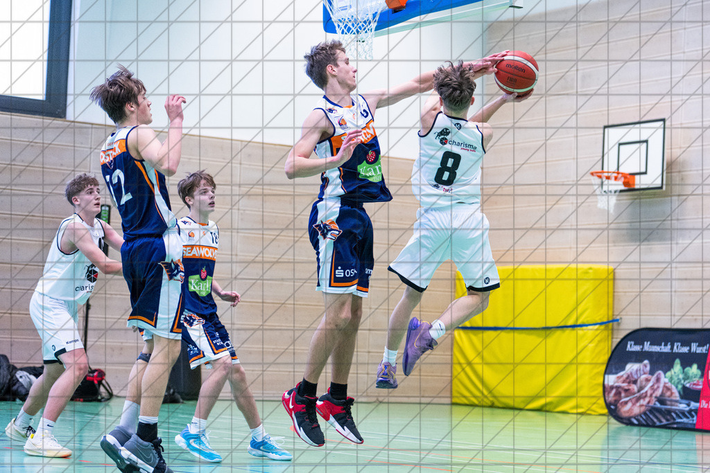 JBBL 24/25 | 19.01.2025 | Charisma Young Bulls vs. Rostock Seawolves | JBBL 24/25 | 19.01.2025 | Charisma Young Bulls vs. Rostock Seawolves - - - - - CREDIT, www.bullenfotos.de, Martin König, Hörner Weg 40, D-49078 Osnabrück, +4917663732967, Nutzung und Weitergabe nur zu den vereinbarten Zwecken. Presseanfragen an Urheber. Alle Rechte beim Urheber. - - - - - - Realisiert mit Pictrs.com