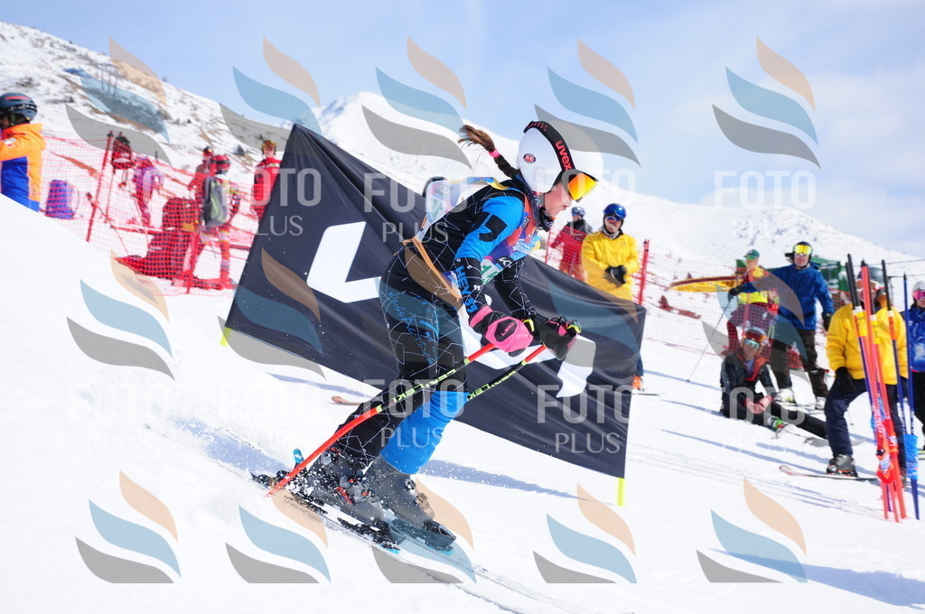 DSC_1354 | holidayphoto