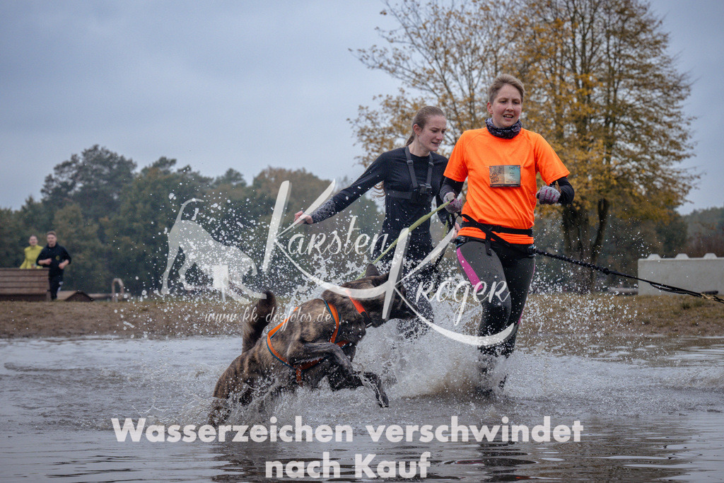 1201_ZZ97905 | kk-dogfotos