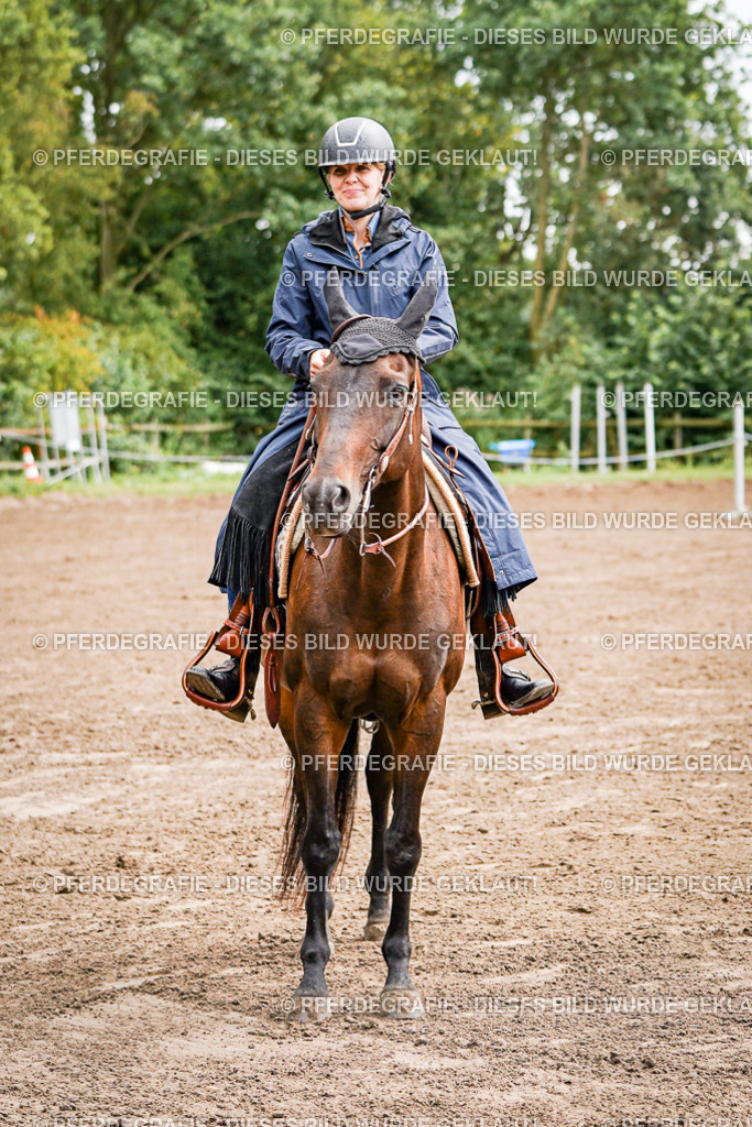 DSC05998 | Pferdegrafie