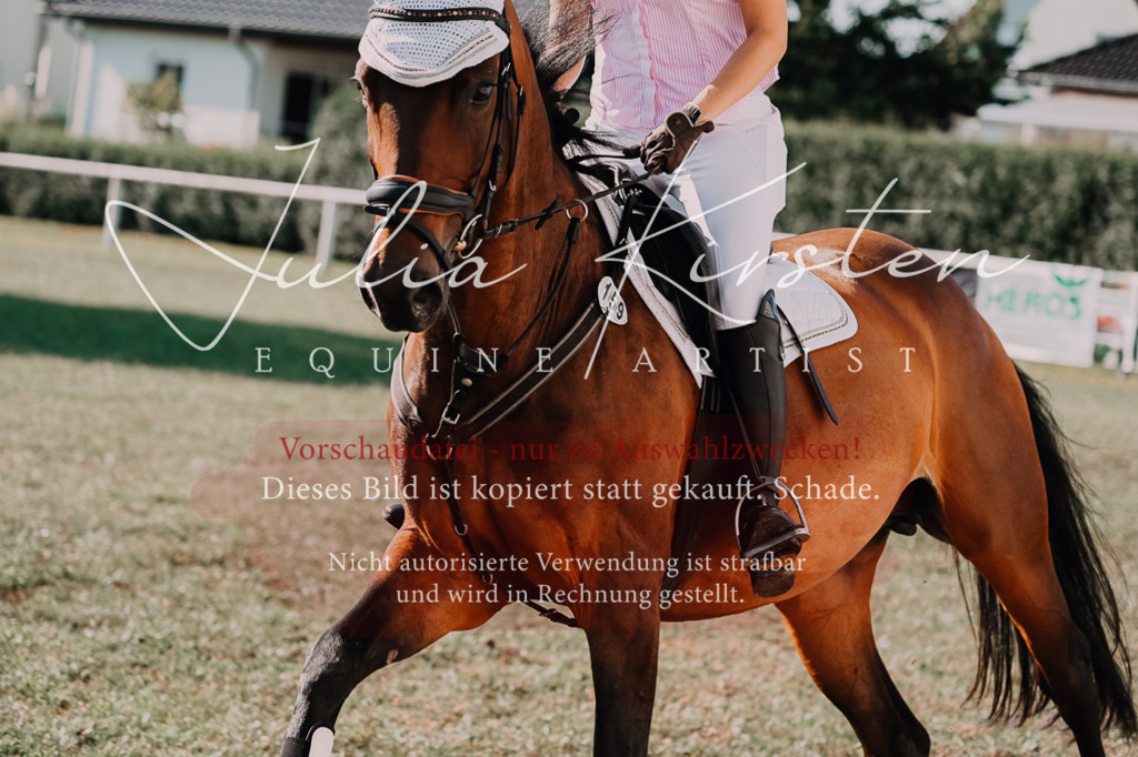 DSC_4787 | Pferde- und Turnierfotografie in Westsachsen. Pferdeportraits, Auftragszeichnungen und intuitive Kunst.