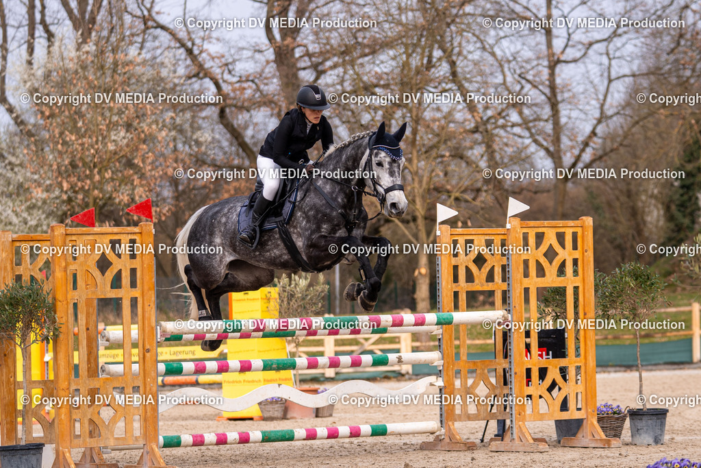 Kranichstein Tag 2-1637 | dv-media-shop - Realisiert mit Pictrs.com