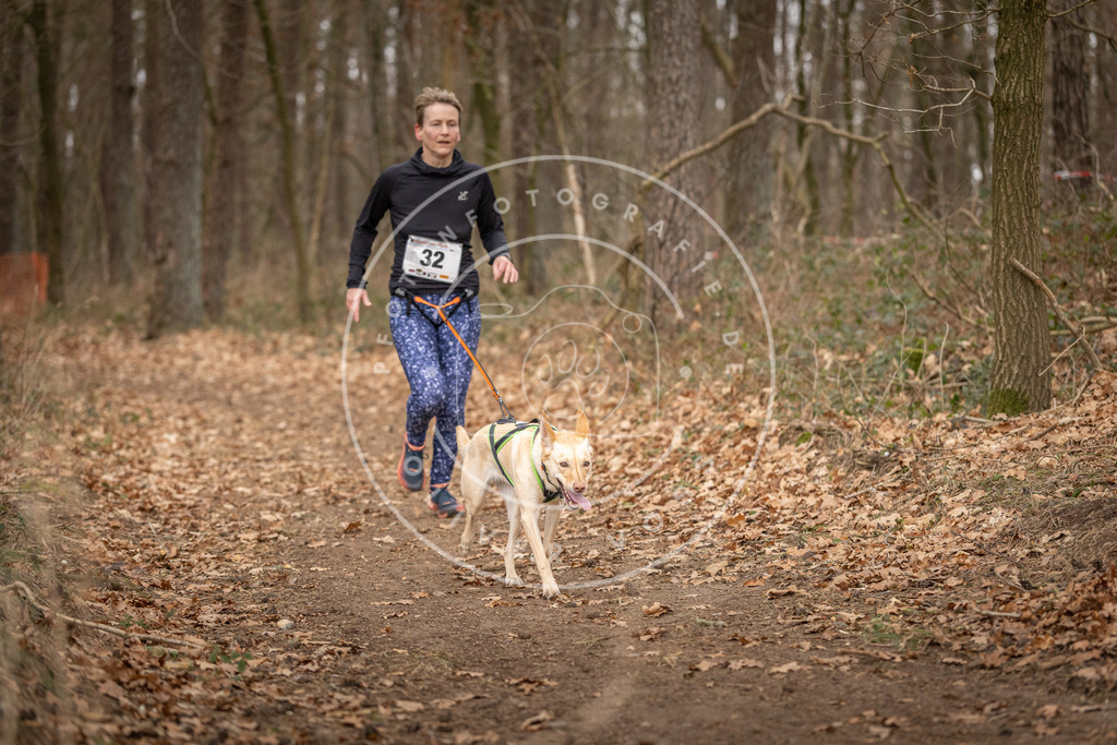 Pfotenfotografie_DV3A9462 | Hundefotografie, Tierfotograf, Pfotenfotografie, Fotoshooting Hund, Hunde Portrait, Hundesport, Hundeportraits, Heideshooting, Hunde, Sportfotograf, Hundefotograf, Turnierhundsport, THS,  - Realisiert mit Pictrs.com