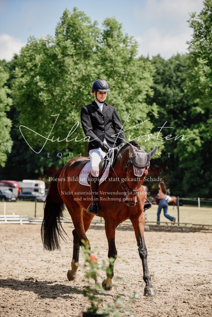 DSC_1139 | Pferde- und Turnierfotografie in Westsachsen. Pferdeportraits, Auftragszeichnungen und intuitive Kunst.