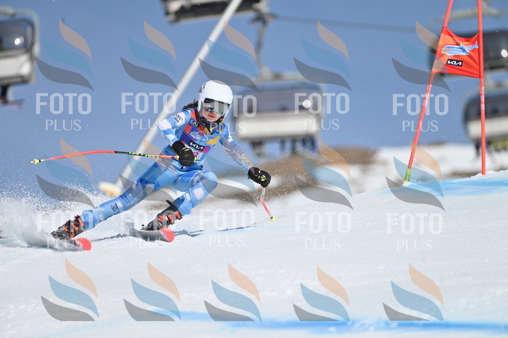 BGV_9115 | holidayphoto