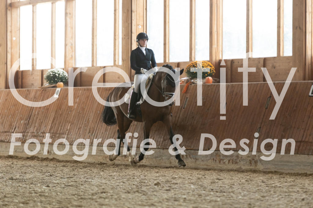 IMG_3940 | Creatify Fotografie