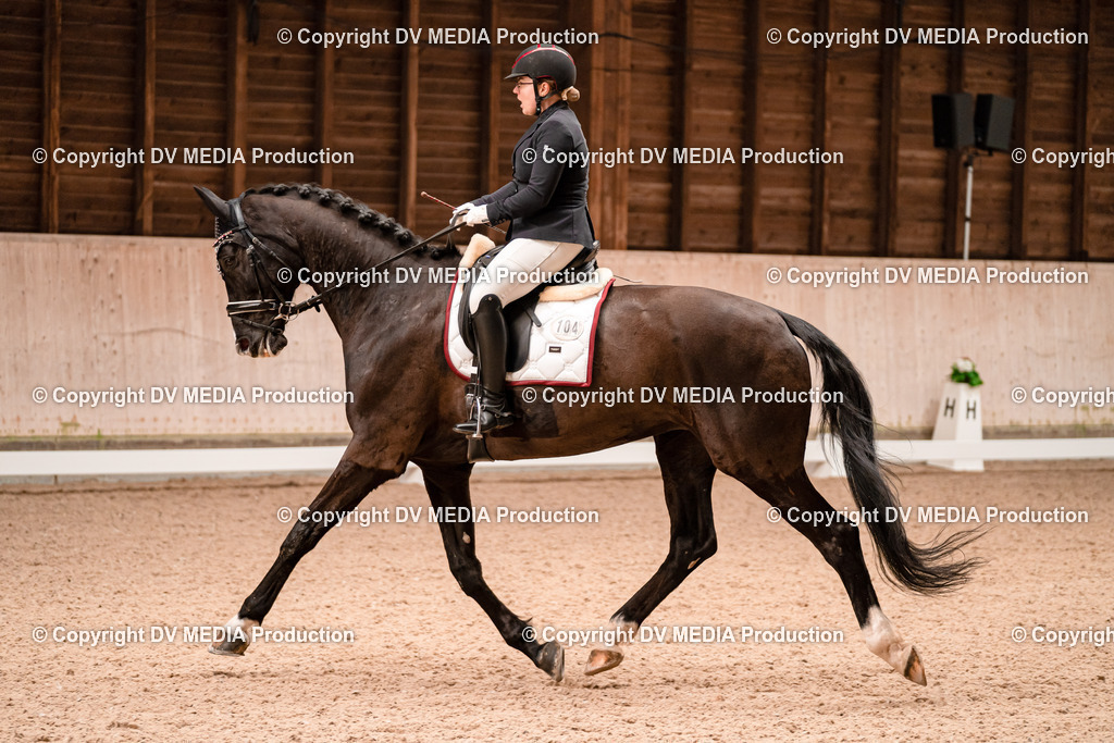 Dressur Tag 2-250 | dv-media-shop - Realisiert mit Pictrs.com