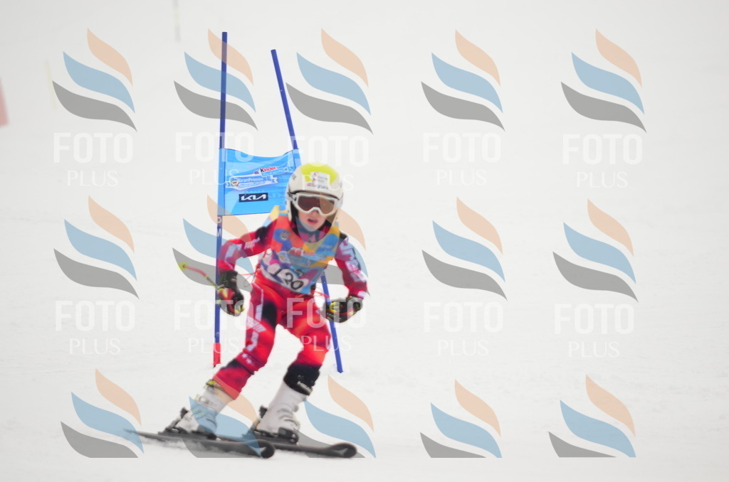 C1541 | holidayphoto