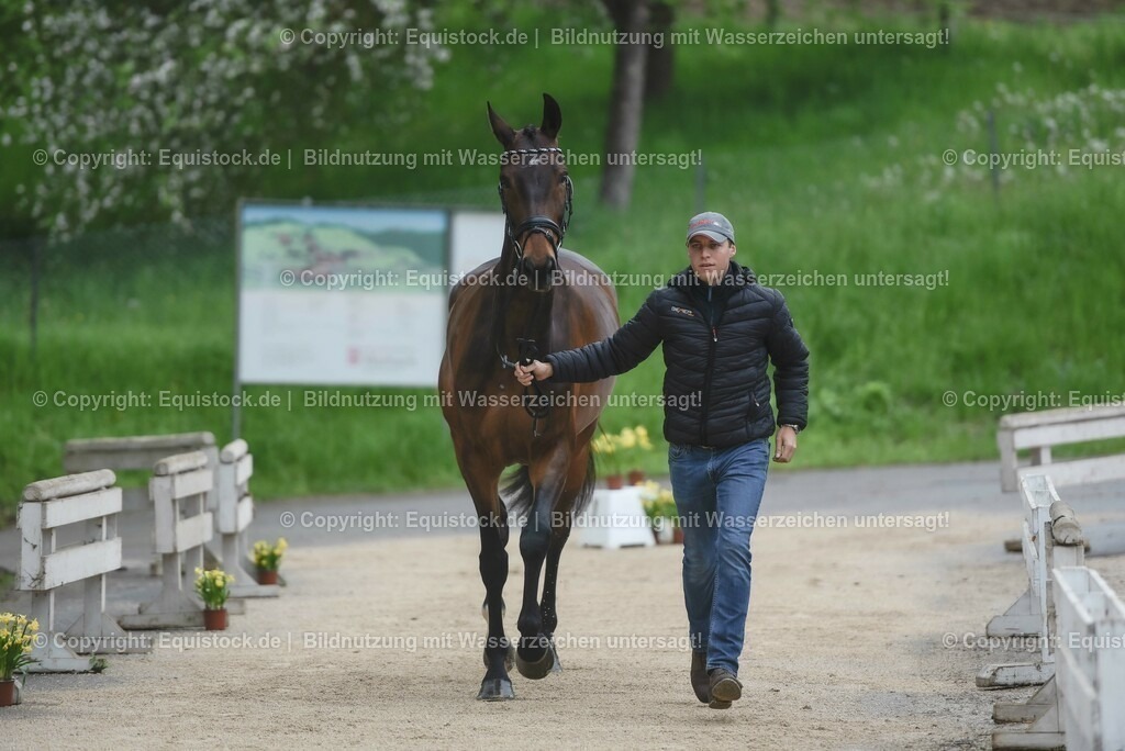 20230514_Impressionen_0076 | equistock