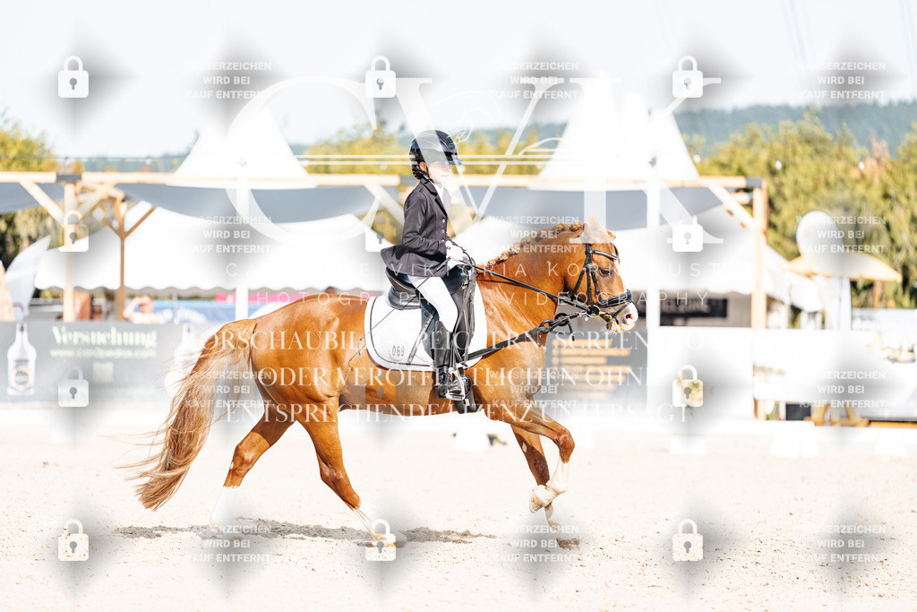 CK905268 | Turnierfotografie Pferdefotografie Trier Rheinland-Pfalz Pferdesport Reitsport Tierfotografie Sportfotografie Pferdevideo Pferdevideografie Equestrianvideography equestrianphotography  - Realisiert mit Pictrs.com