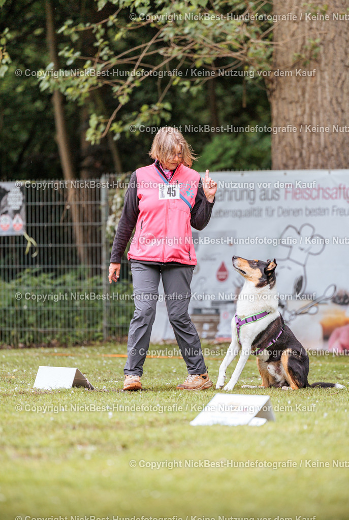 RO-Blumenthal-2026-Nickbest-Hundefotografie-0402 | Dein Hund! Dein Moment! Deine Erinnerungen! Hundefotografie in Bremen Blumenthal. Ich fange die besonderen Momente deines Vierbeiners ein – ob Indoor mit Blitzanlage oder in der freien Natur. Sicher dir dein Moment und dein Termin für eure Erinnerungen.