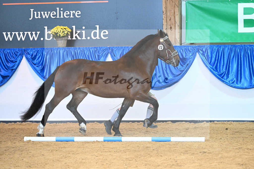 Kat-Nr. 72 Pipa II_Kriechbaumer_53220309 | hf-fotografie - Realisiert mit Pictrs.com