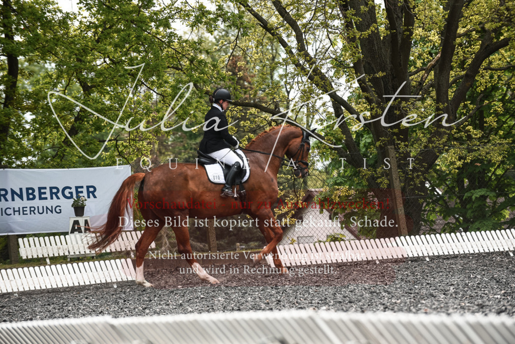 20230514_JK-Röhrsdorf-24-042 | Pferde- und Turnierfotografie in Westsachsen. Pferdeportraits, Auftragszeichnungen und intuitive Kunst.