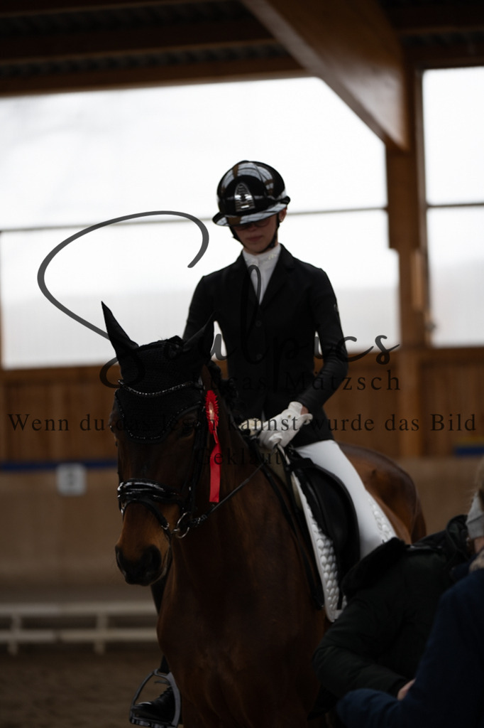 A7V09817 | Pferdefotograf