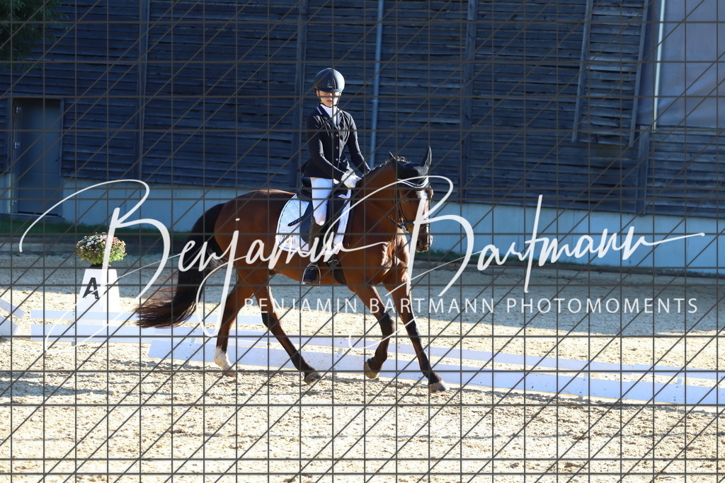 IMG_4840 | Benjamin Bartmann Photomoments