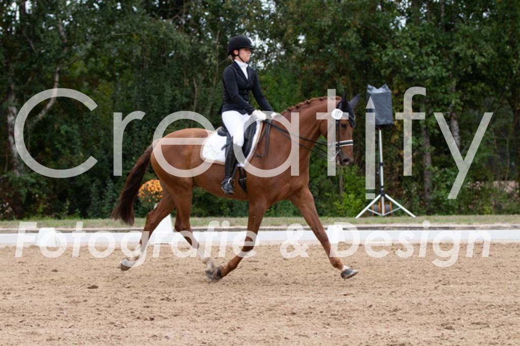 IMG_7641 | Creatify Fotografie