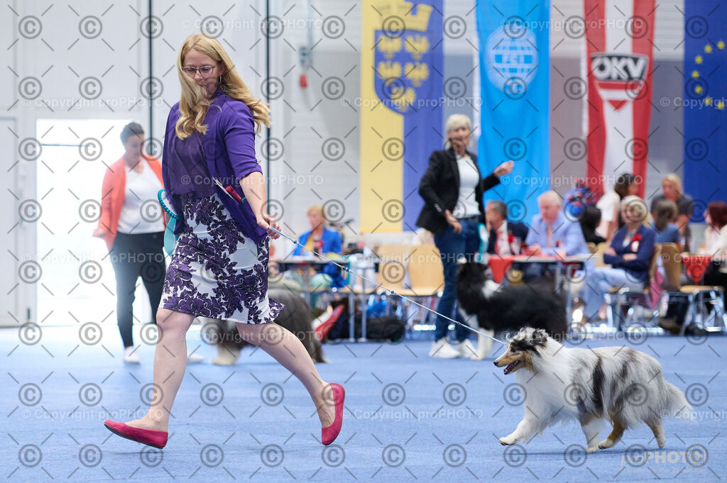 202406_ÖKV-IHA-Tulln24_DSC_2863 | proPHOTO - Realisiert mit Pictrs.com