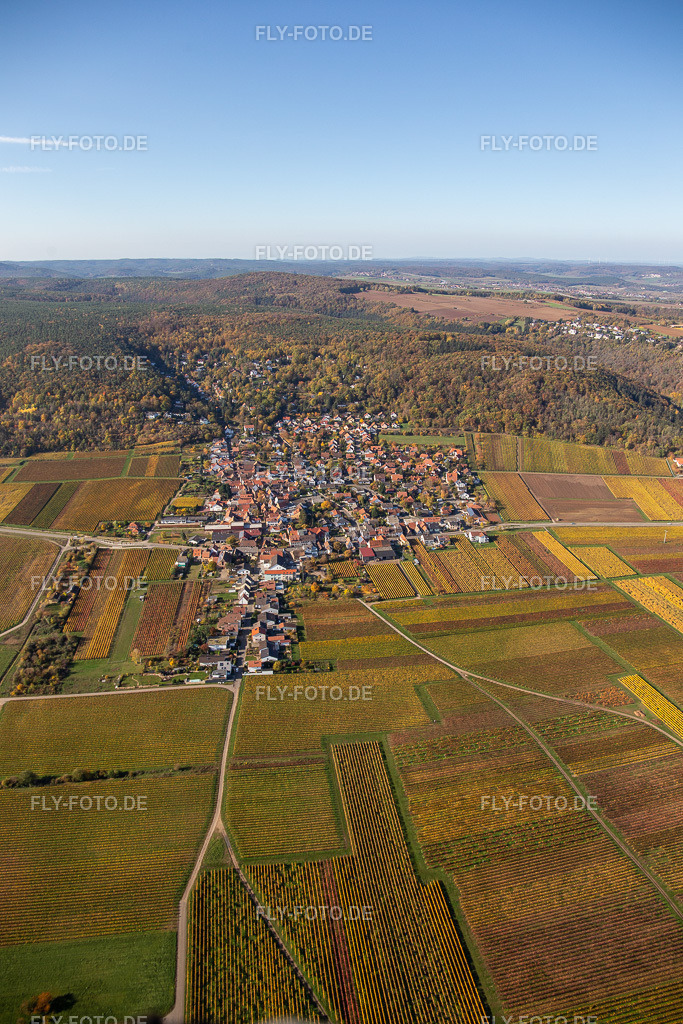 Herbstliche verfärbte Weinberge in der Rheinebene am Rand der Haardt | Luftbild: Herbstliche verfärbte Weinberge in der Rheinebene am Rand der Haardt in Bobenheim am Berg im Bundesland Rheinland-Pfalz in Deutschland. Foto: IMG_123647.jpg vom 31.10.2020 durch Werner Riehm/FLY-FOTO.de - Realisiert mit Pictrs.com