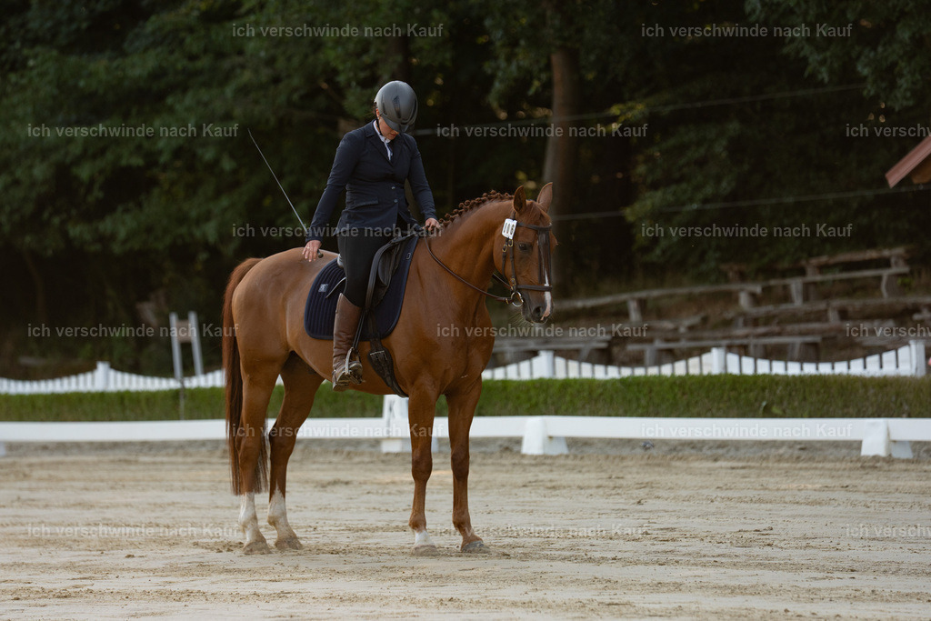 WA_DR_64_SinaFilmArt_IN00008 | working equitationturnier fotograf videograf stoibphotography marixx film working equitation deutschland reitsport turnierfotografie eventfotografie equestrian events