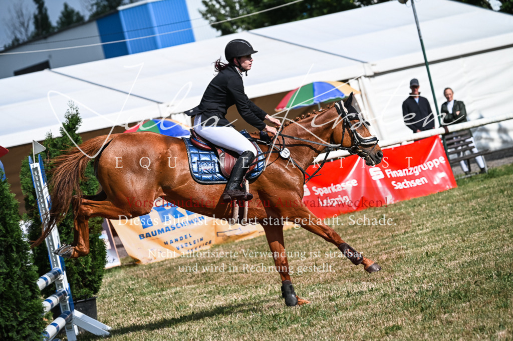 DSC_7822 | Pferde- und Turnierfotografie in Westsachsen. Pferdeportraits, Auftragszeichnungen und intuitive Kunst.
