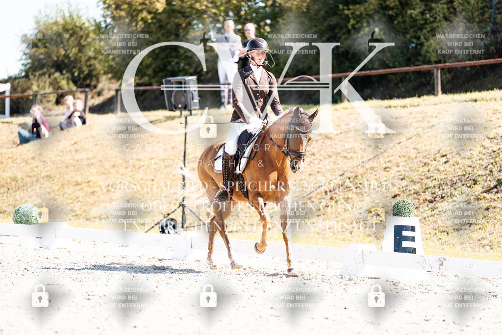 CK903714 | Turnierfotografie Pferdefotografie Trier Rheinland-Pfalz Pferdesport Reitsport Tierfotografie Sportfotografie Pferdevideo Pferdevideografie Equestrianvideography equestrianphotography  - Realisiert mit Pictrs.com