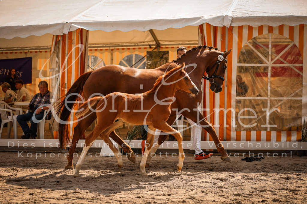 09.DoWBD00026 | Leoni Ertmer Photography - Realisiert mit Pictrs.com