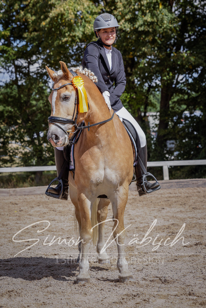 20250906-_3LI5744 | Tierfotografie Pferde, Hunde, Katzen, Haustiere.
Turnierfotografie Reitturniere, Reiten, Springreiten, Dressur in Hanau, dem Main-Kinzig-Kreis und dem Rhein-Main- Gebiet um Frankfurt