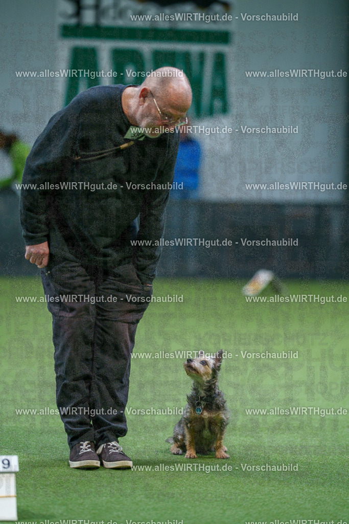 7R506140 | Professionelle Tierfotografie in Mönchengladbach von Daniel Wirth (allesWIRTHgut). Liebevolle & natürliche Bilder von Hunden & Katzen für unvergessliche Erinnerungen.