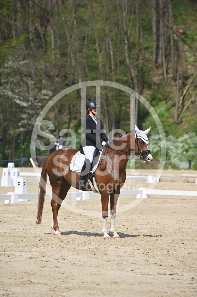 DSC_1570 | sattelsport - Realisiert mit Pictrs.com