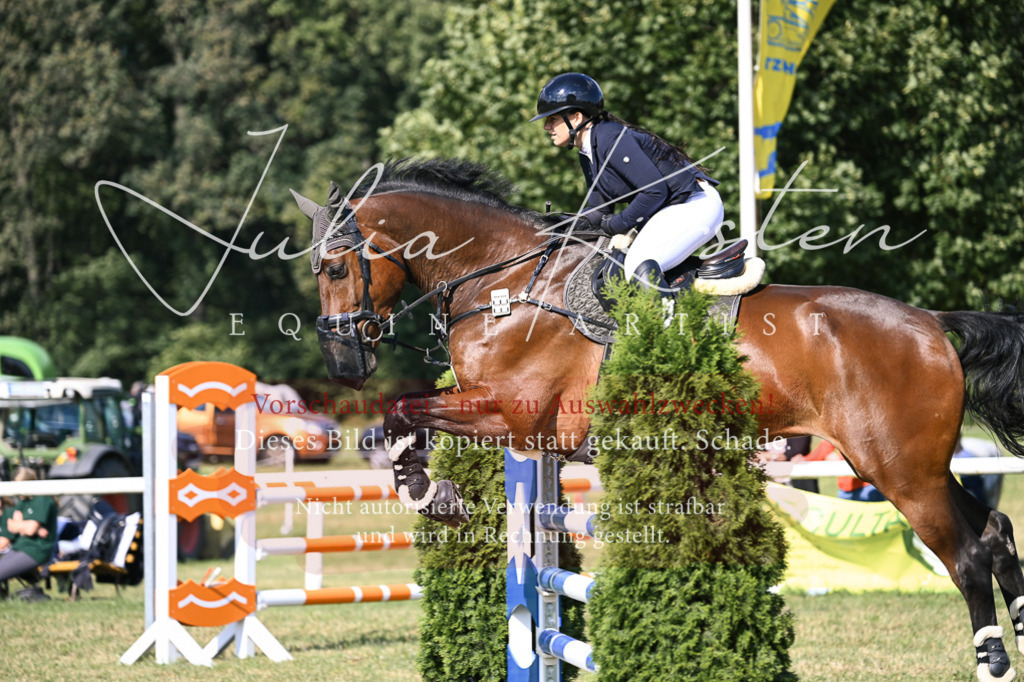 DSC_1183 | Pferde- und Turnierfotografie in Westsachsen. Pferdeportraits, Auftragszeichnungen und intuitive Kunst.