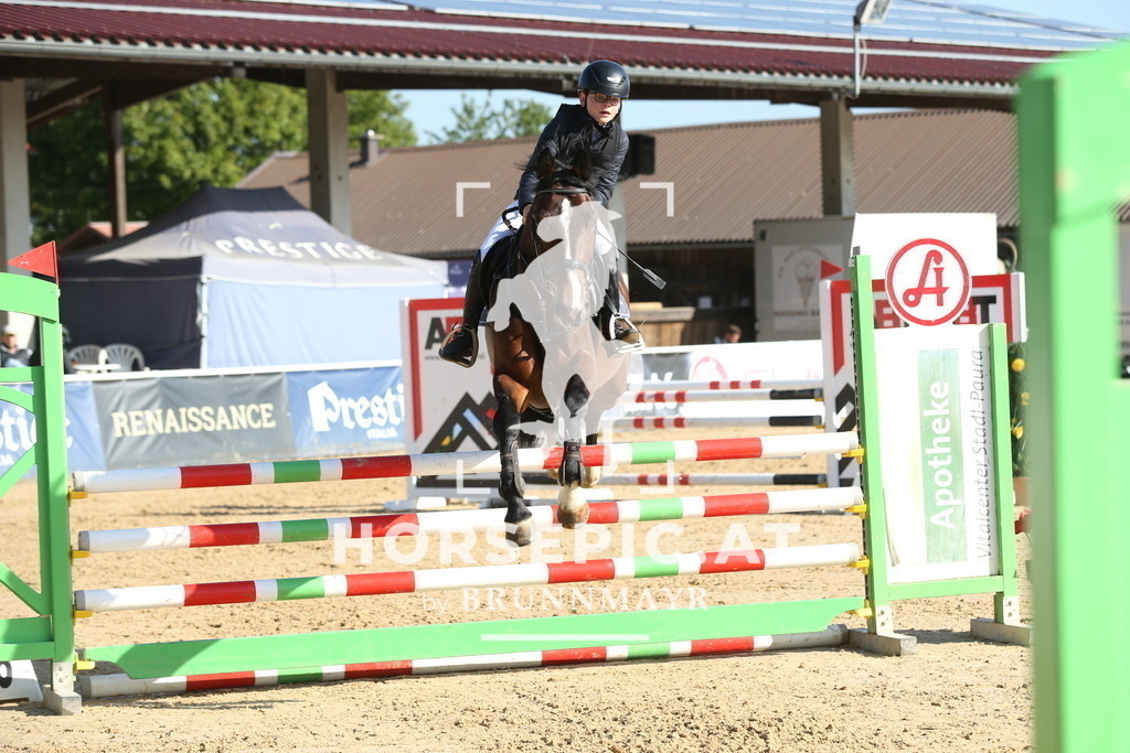 DL2Q0543 | Willkommen bei Brunnmayr - Design & Fotografie – Ihrem Spezialisten für Reitturniere und Pferdeveranstaltungen in Oberösterreich, Salzburg und Bayern! Seit über 17 Jahren sind wir leidenschaftlich dabei.
