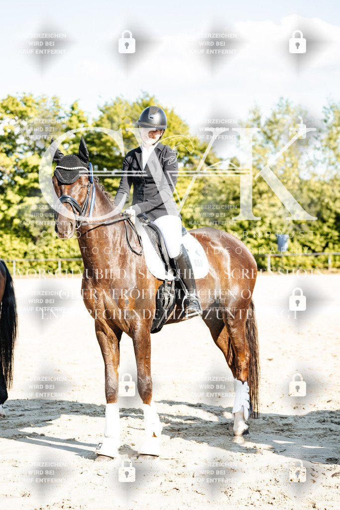 CK703587 | Turnierfotografie Pferdefotografie Trier Rheinland-Pfalz Pferdesport Reitsport Tierfotografie Sportfotografie Pferdevideo Pferdevideografie Equestrianvideography equestrianphotography  - Realisiert mit Pictrs.com