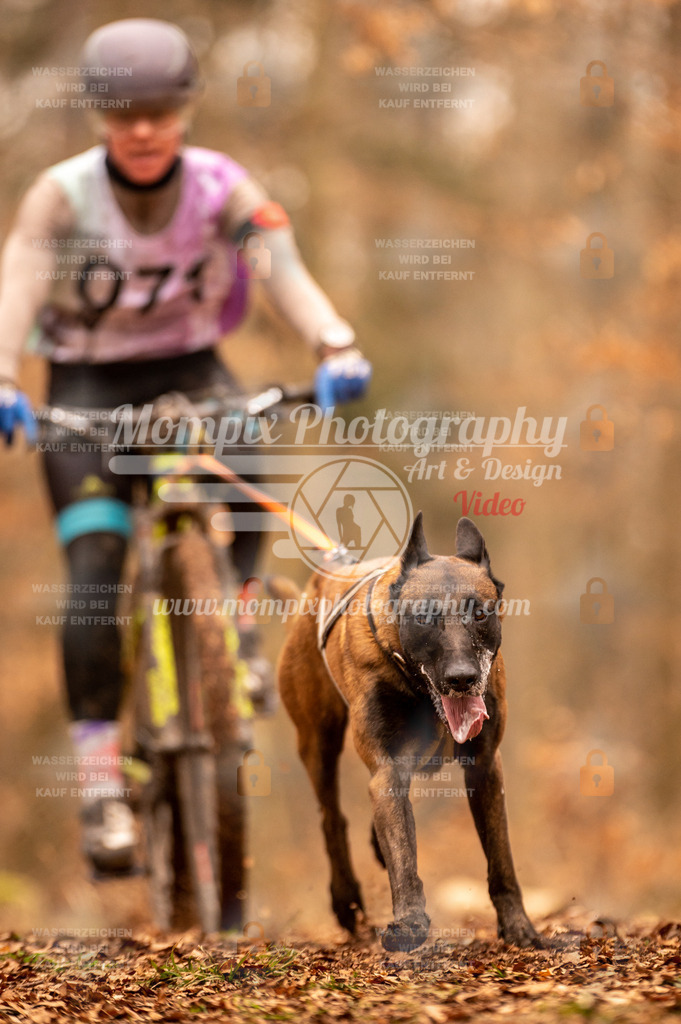 AKM_ST_2023_SAM_Bike-59 | PayLife