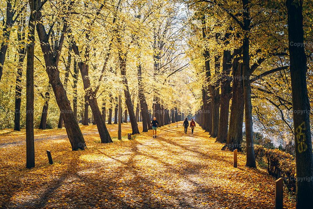 _DSC7476 | Leipzig Wandbilder Drucke Prints Leinwand Stadtmotive Leipzig Fotosdruck Kunstdrucke Bilder Leipzig Stadtansichten Acrylglasbilder Leipzig Wanddeko Fine Art Prints Wandbilder Büro Leipzig Bilder Praxis Zuhause Bilderdruck Poster Posterlounge Kunstdrucke - Realisiert mit Pictrs.com