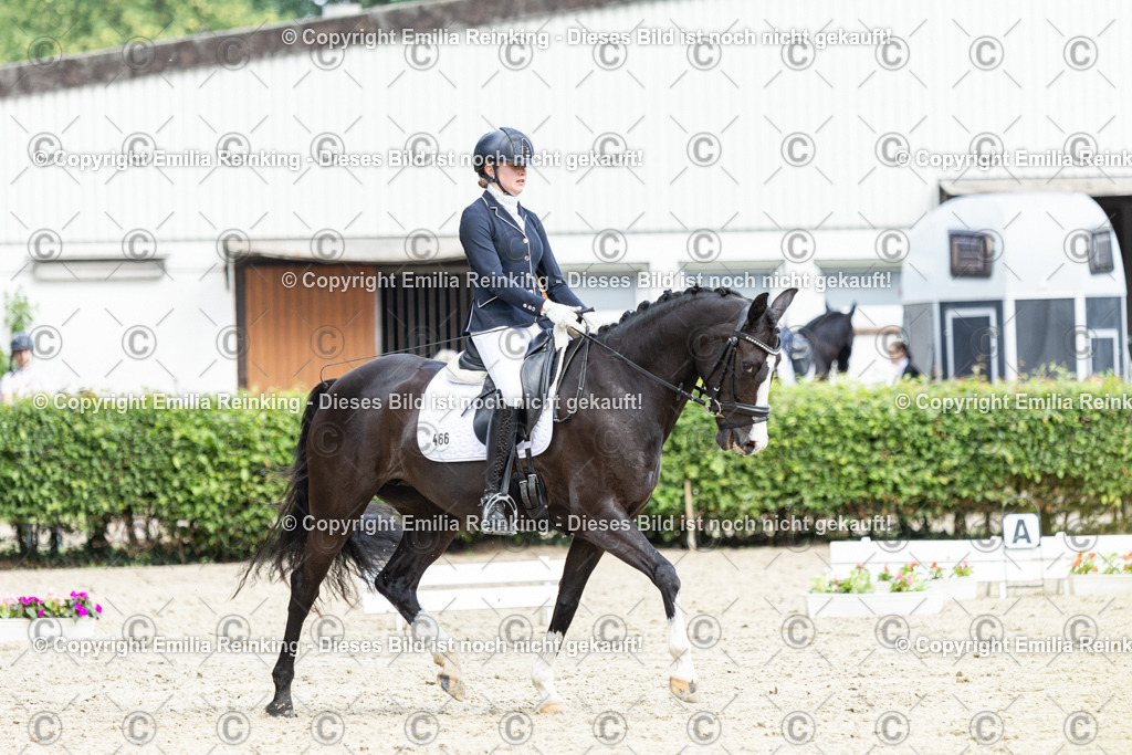 CL5A5902-2 | Emilia Reinking Fotografie - Realisiert mit Pictrs.com