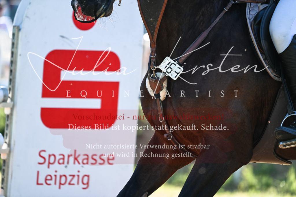 DSC_2932 | Pferde- und Turnierfotografie in Westsachsen. Pferdeportraits, Auftragszeichnungen und intuitive Kunst.