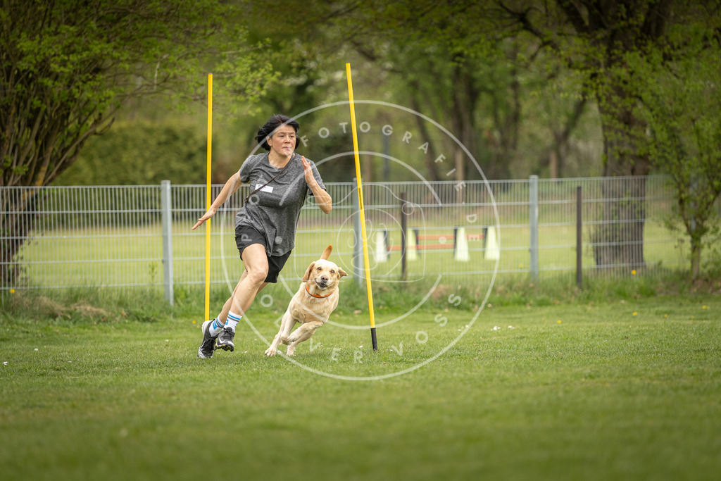 Pfotenfotografie_DV3A9570 | Hundefotografie, Tierfotograf, Pfotenfotografie, Fotoshooting Hund, Hunde Portrait, Hundesport, Hundeportraits, Heideshooting, Hunde, Sportfotograf, Hundefotograf, Turnierhundsport, THS,  - Realisiert mit Pictrs.com