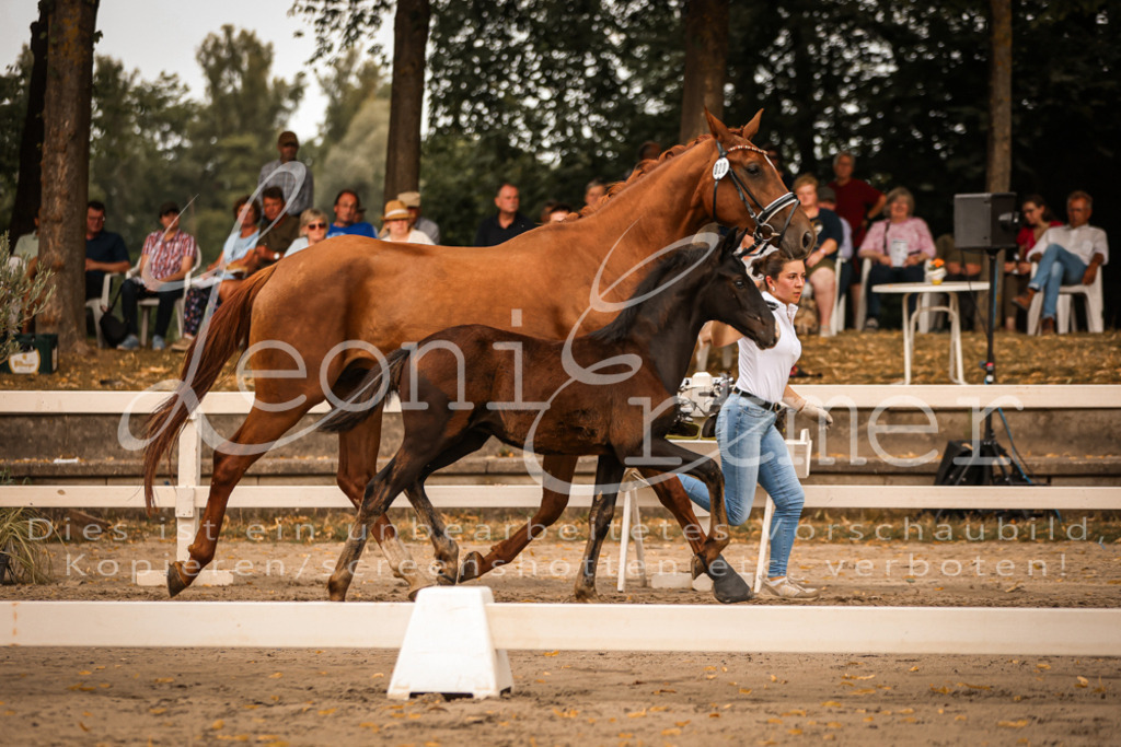 SaPA00282 | Leoni Ertmer Photography - Realisiert mit Pictrs.com