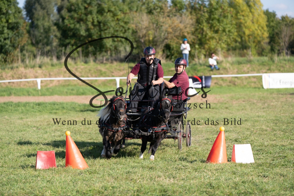 A7V04608 | Pferdefotograf